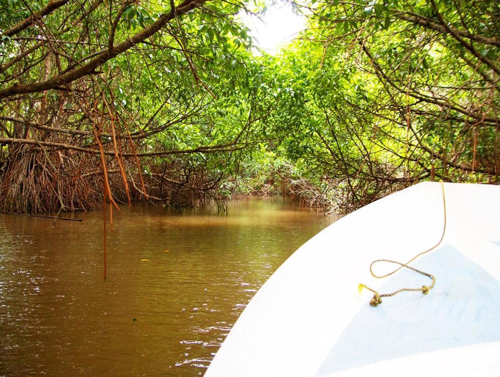 Okvin River Villa Bentota Ngoại thất bức ảnh